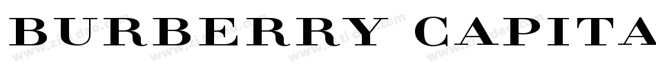 Burberry Capitals R字体转换